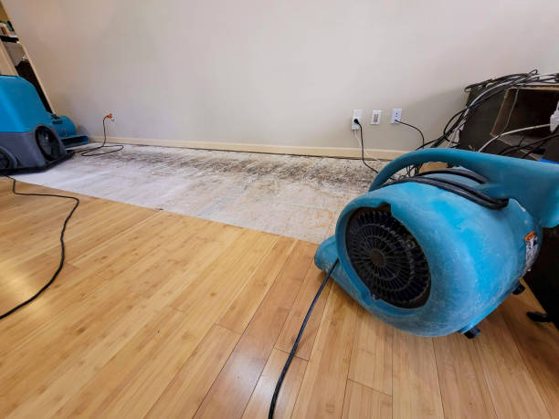 Professional Basement Flood Cleanup technician working in Morrison, TN